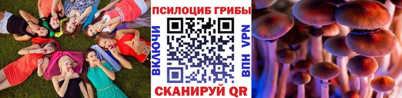 Псилоцибиновые грибы прущие грибы  Купить  Конаково 